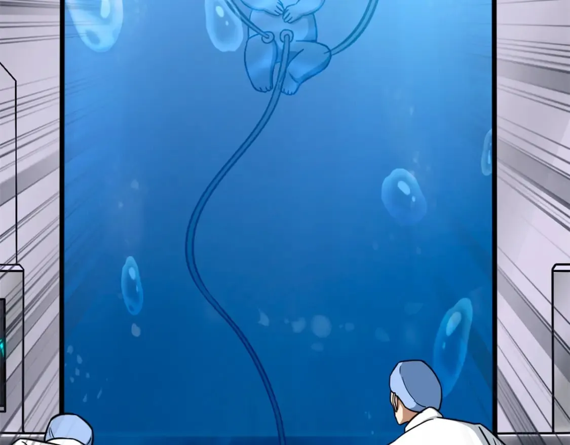 439 第246页