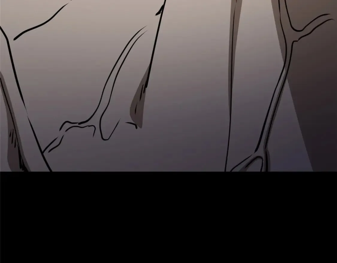 435 第223页