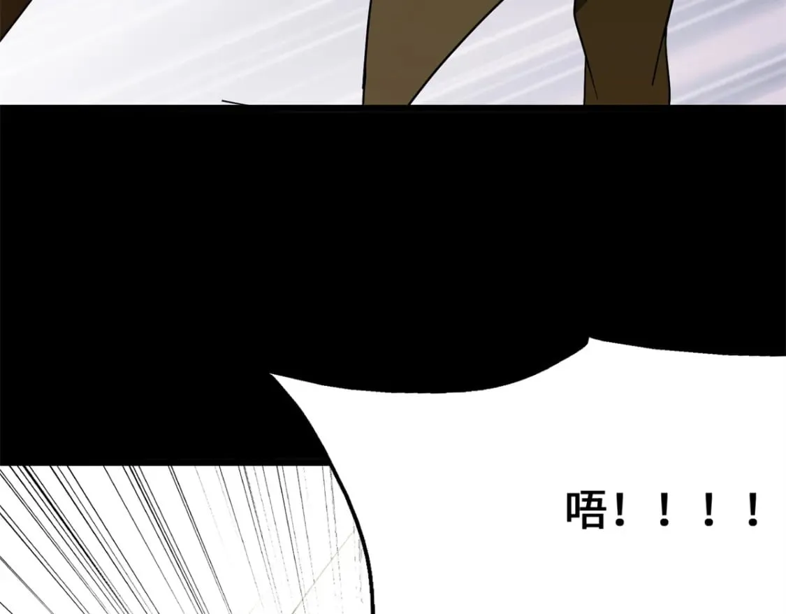 431 第176页