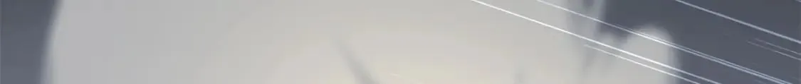 431 第213页