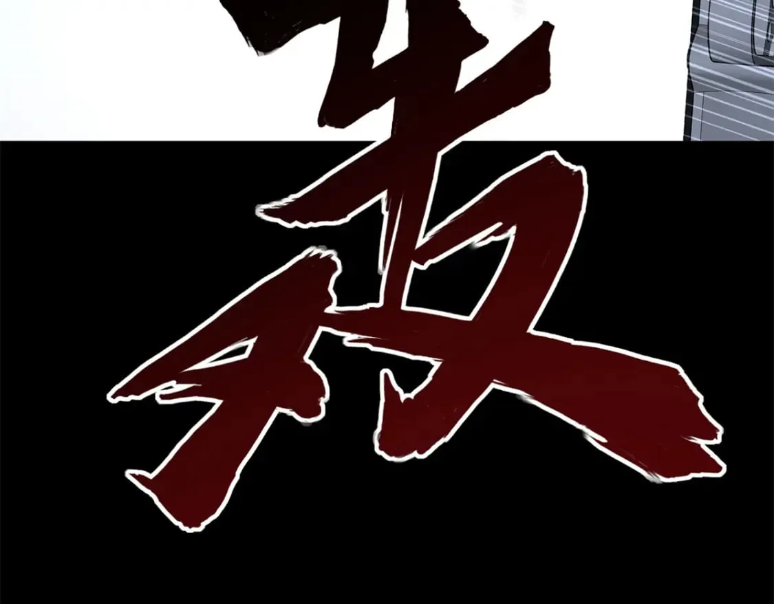 431 第215页