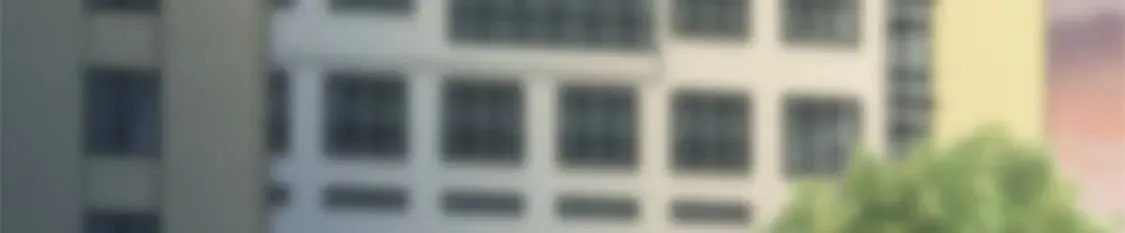431 第233页