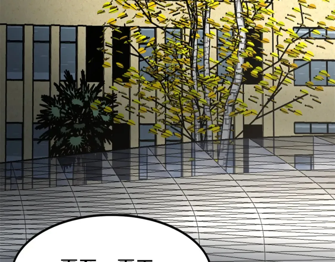 429 第294页