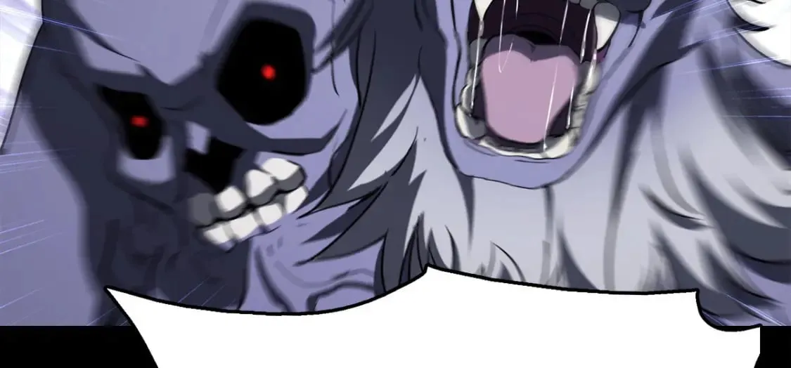 428 第11页
