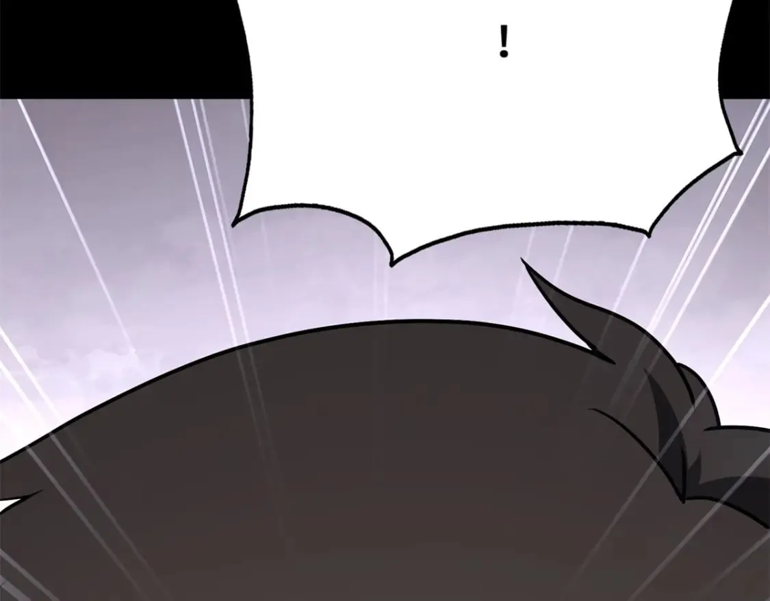 428 第173页