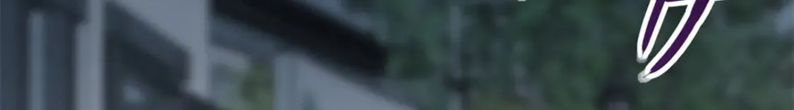 428 第221页