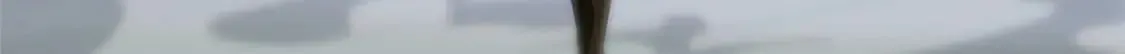 427 第48页