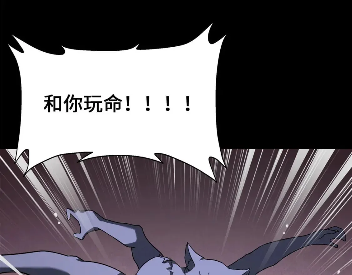 427 第265页