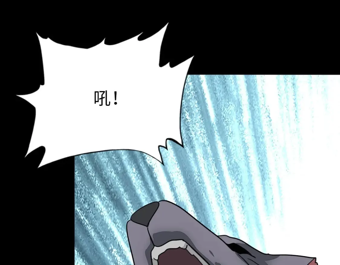 426 第11页