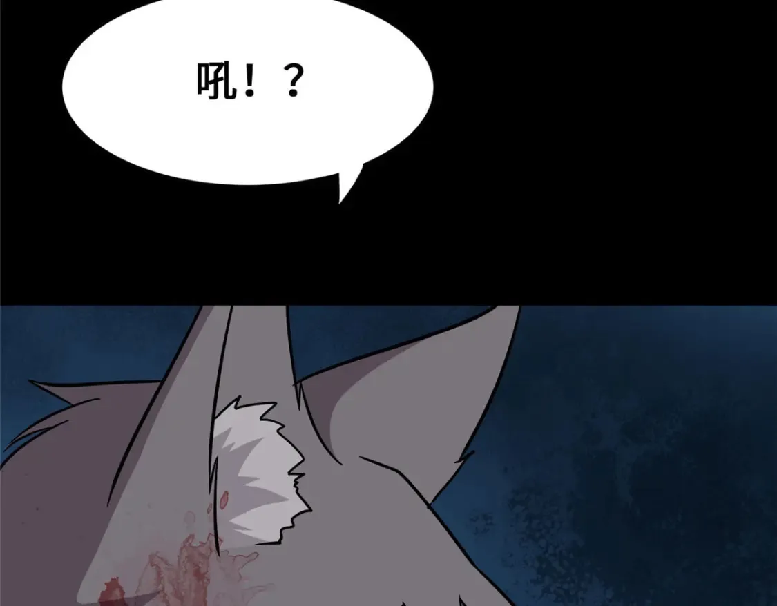 425 第123页