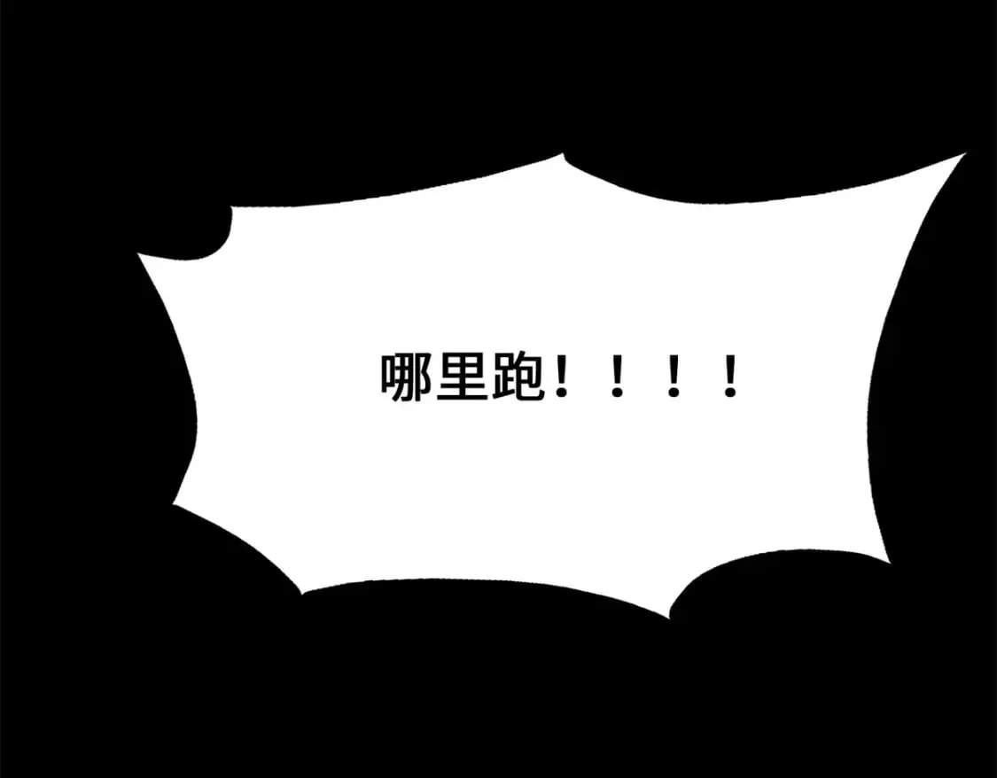 423 第239页
