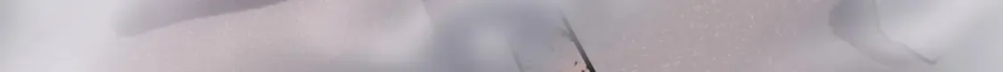 421 第175页