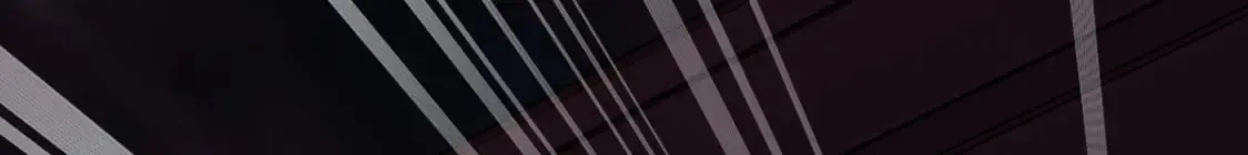 419 第53页