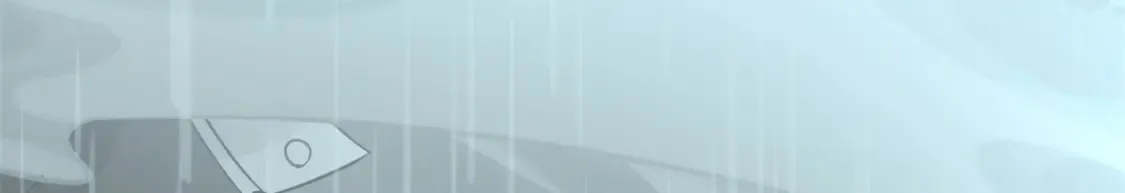 417 第67页