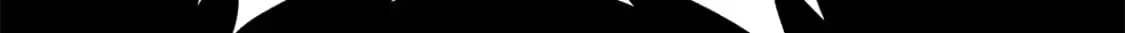 417 第79页