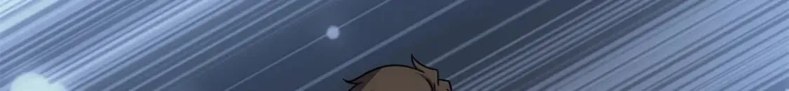 417 第110页