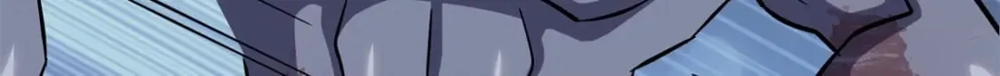 417 第161页