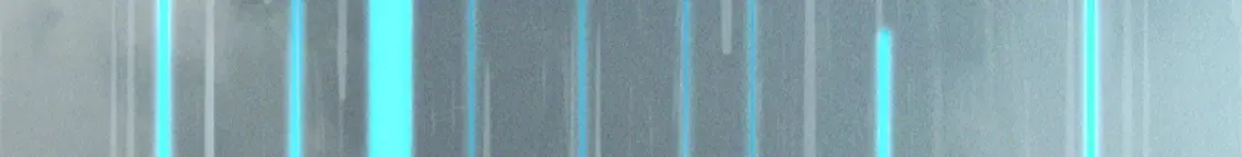 417 第170页