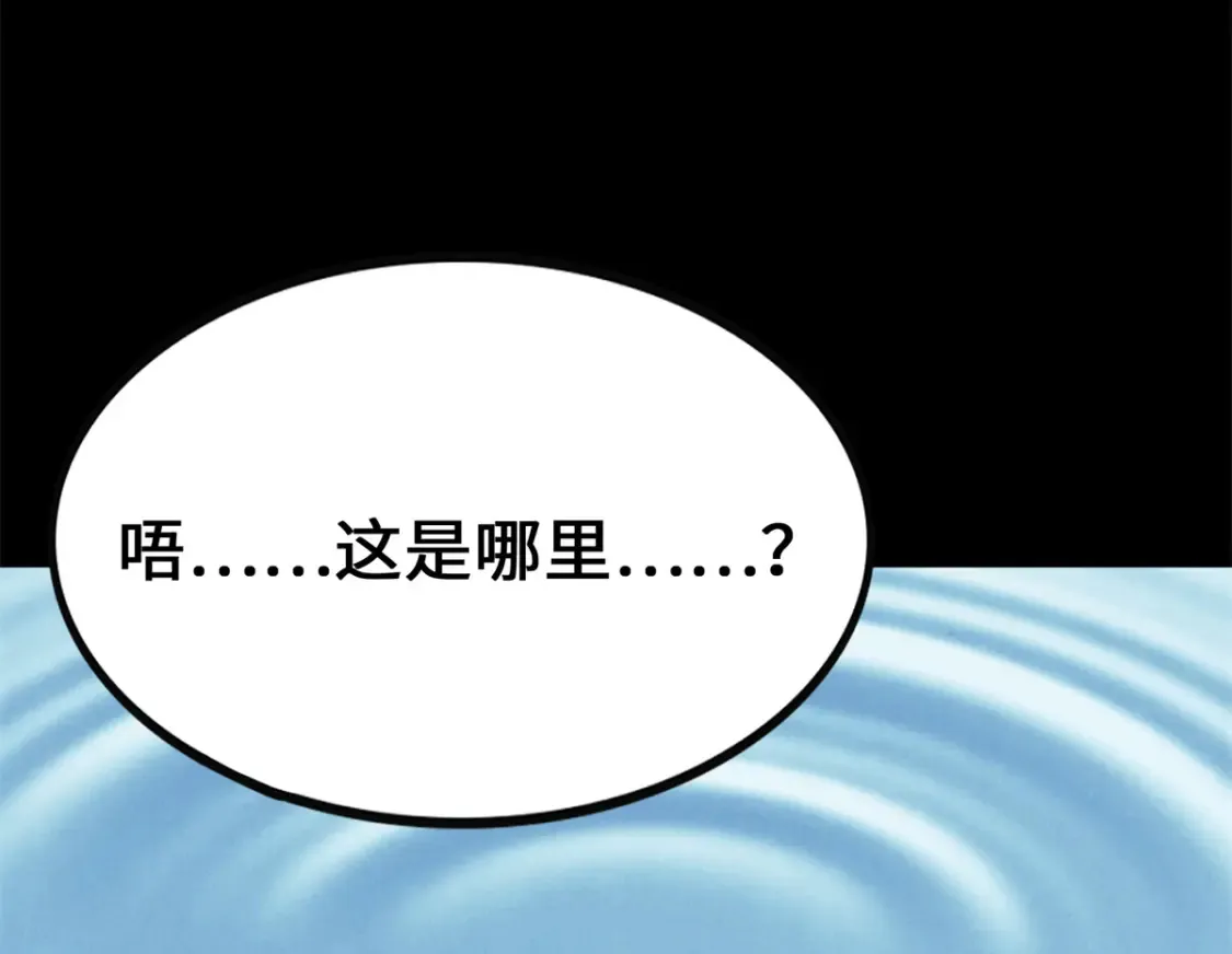 417 第207页