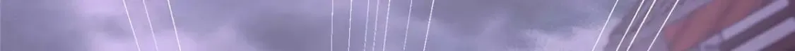 416 第64页