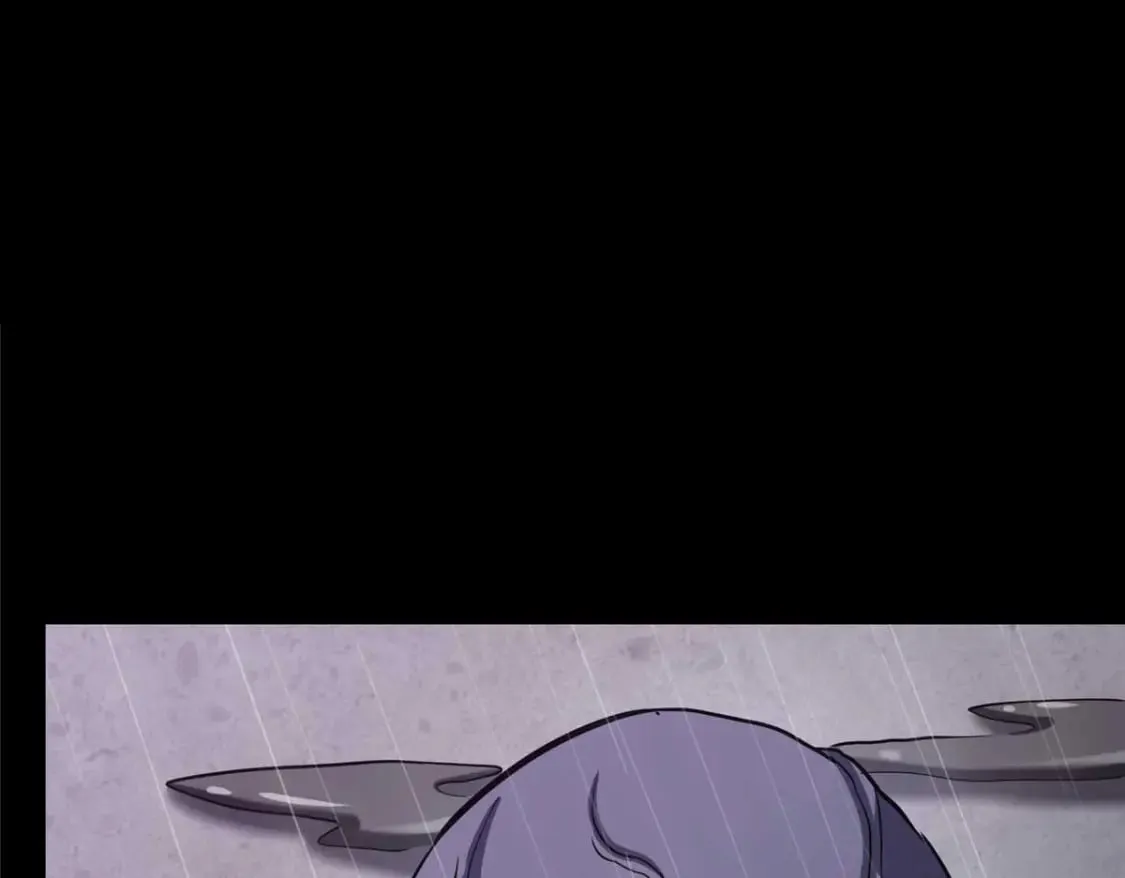 416 第146页