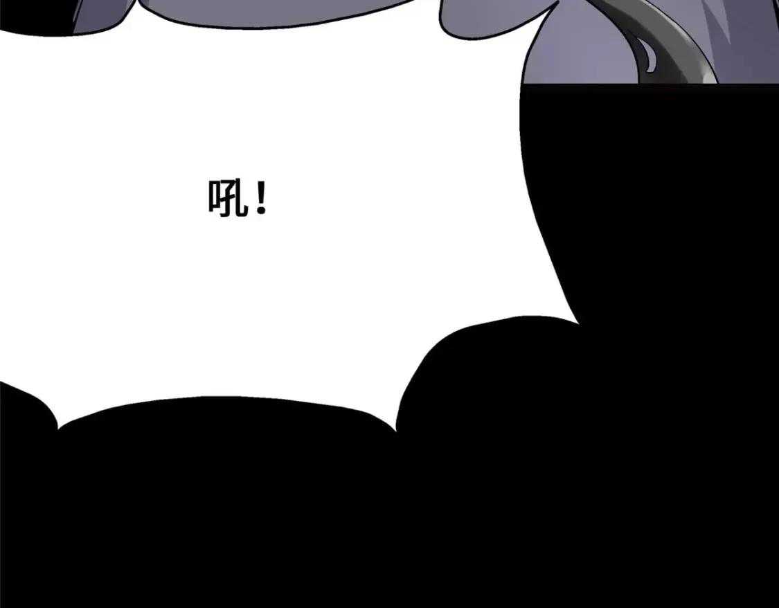 416 第246页