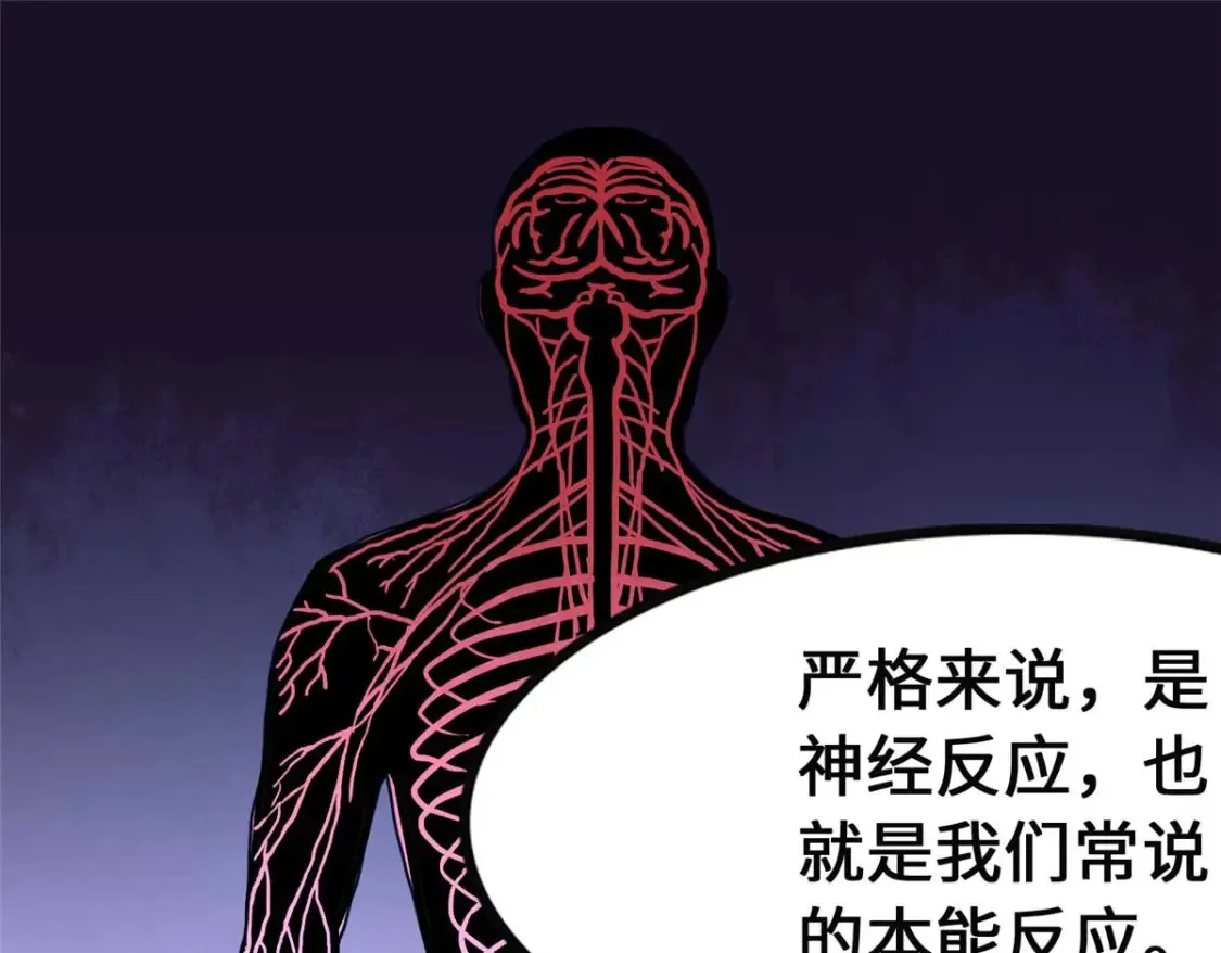 411 第28页