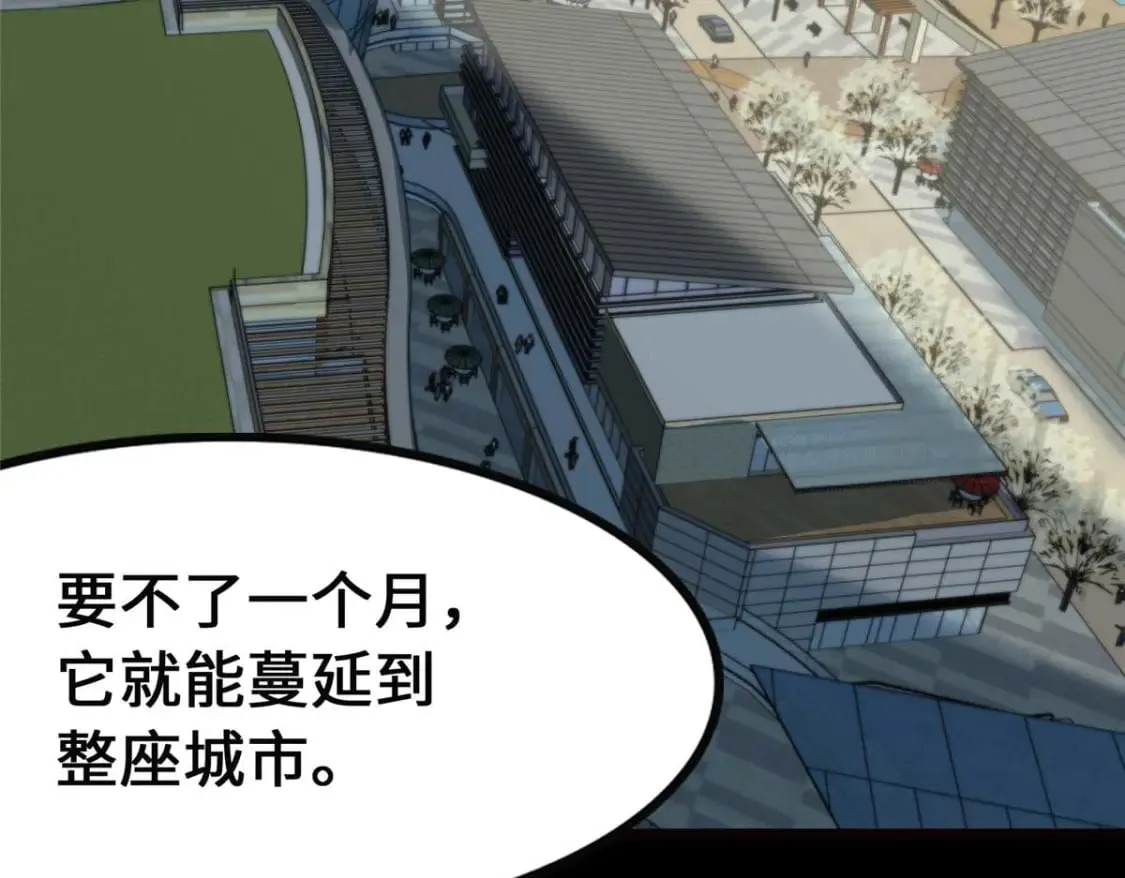 411 第55页