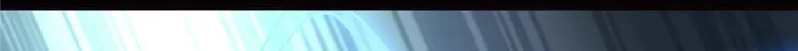 411 第63页