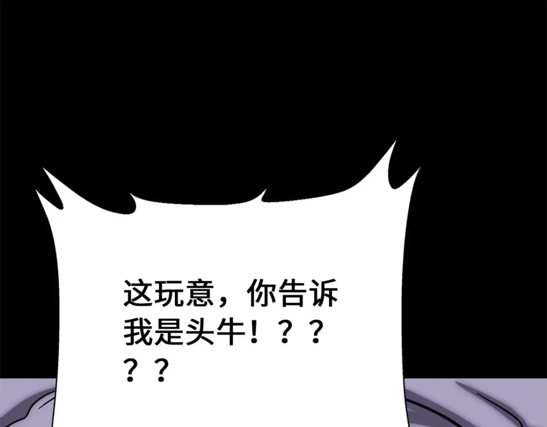 410 第163页