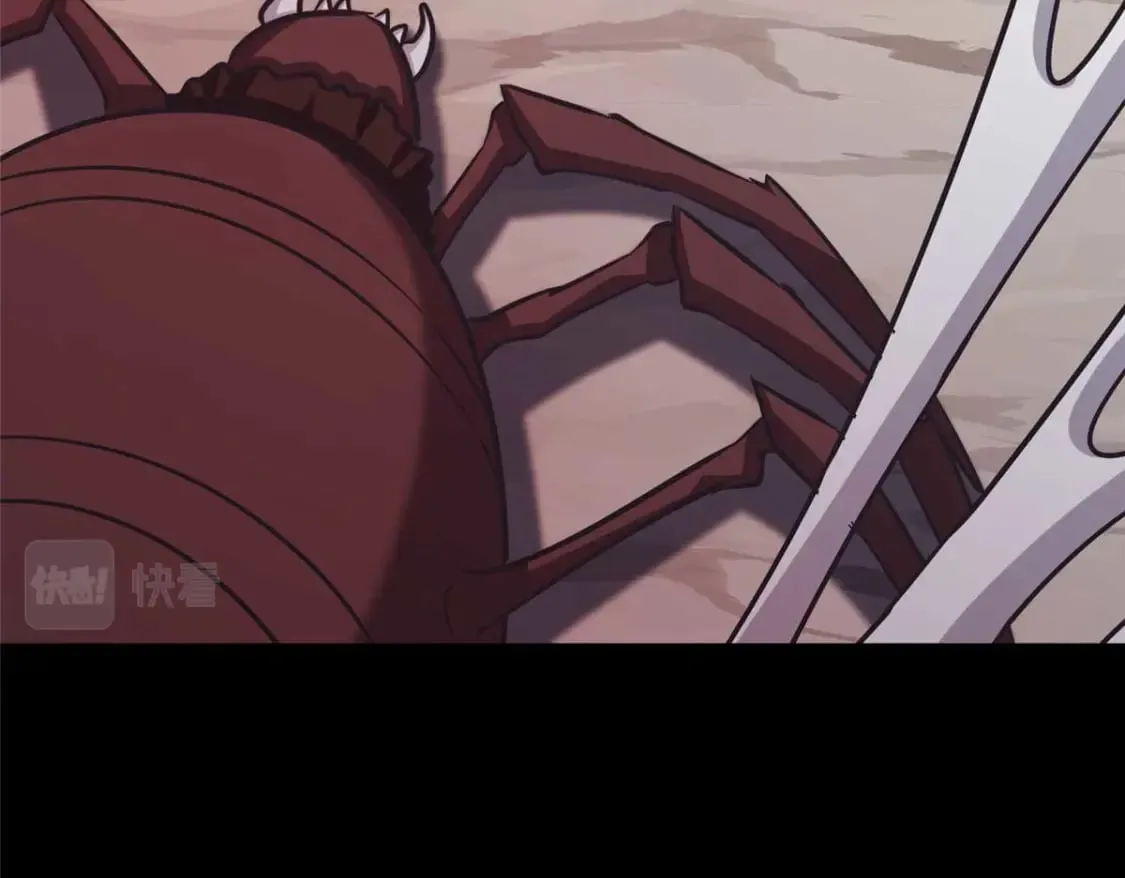 408 第17页