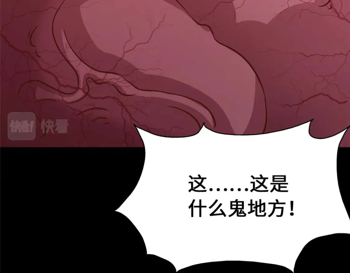408 第175页