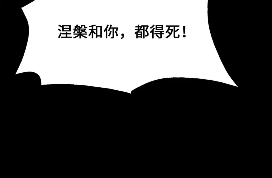 406 第186页