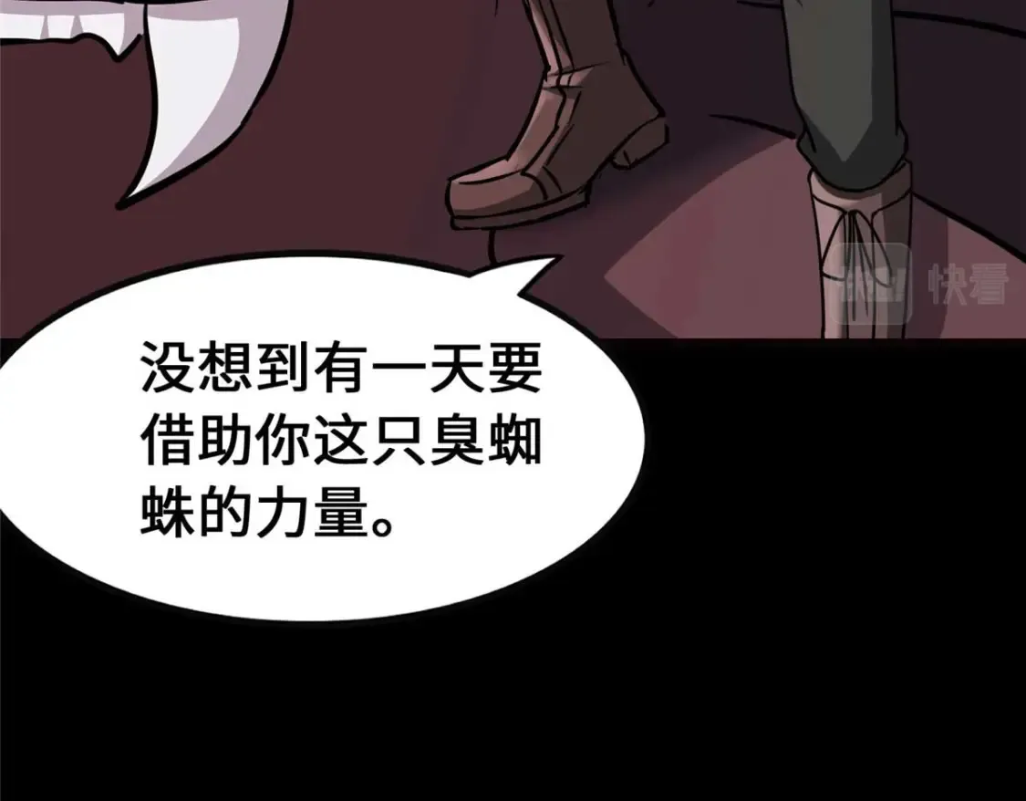 397 第215页