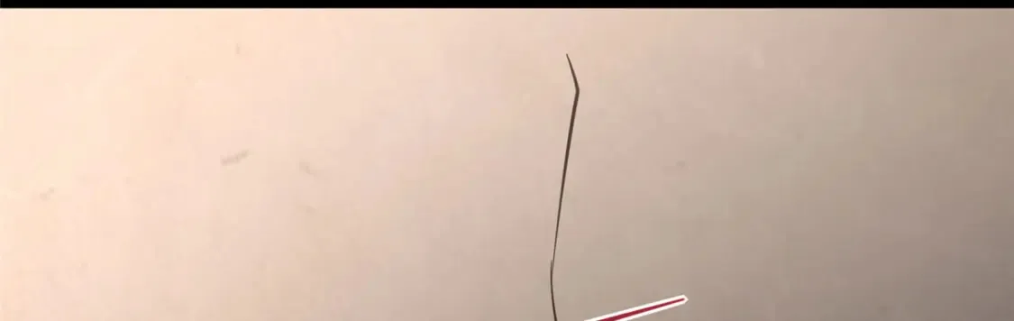 394 第181页