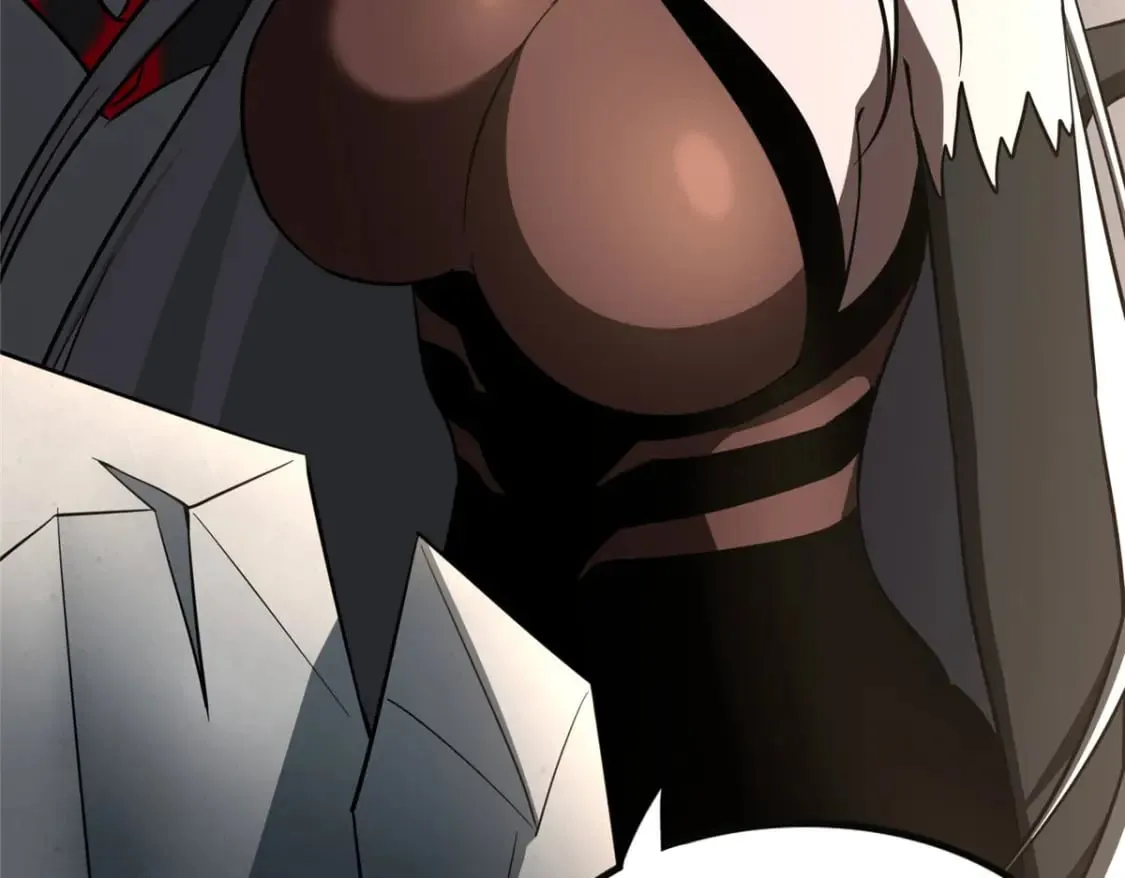 394 第224页