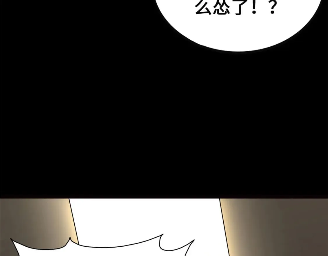 393 第5页