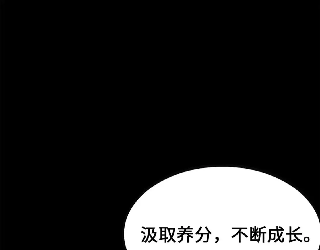 385 第169页