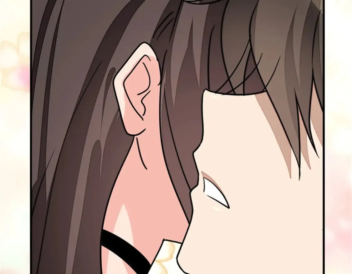 384 第15页