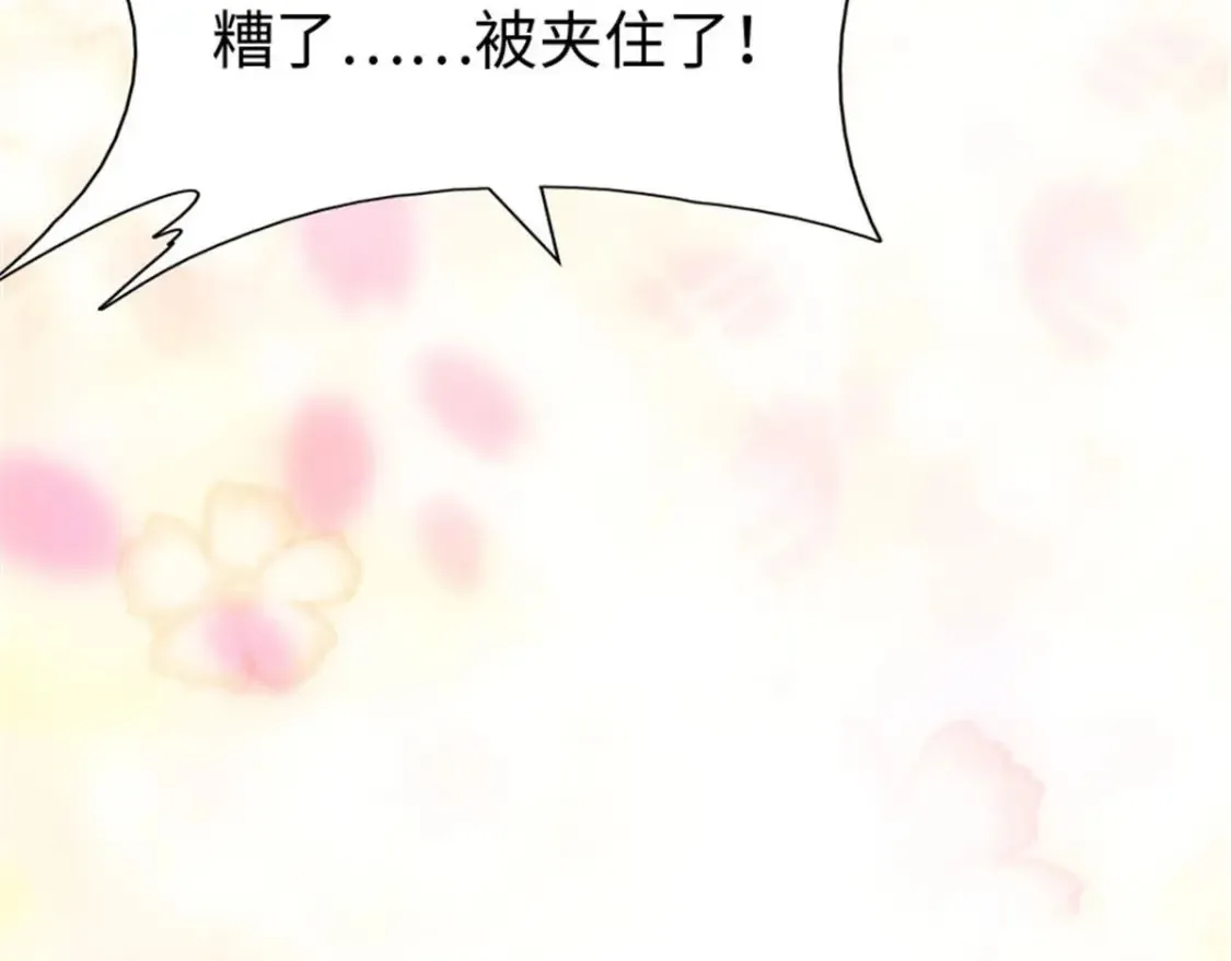 384 第49页