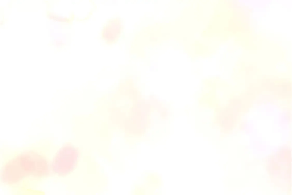 384 第52页