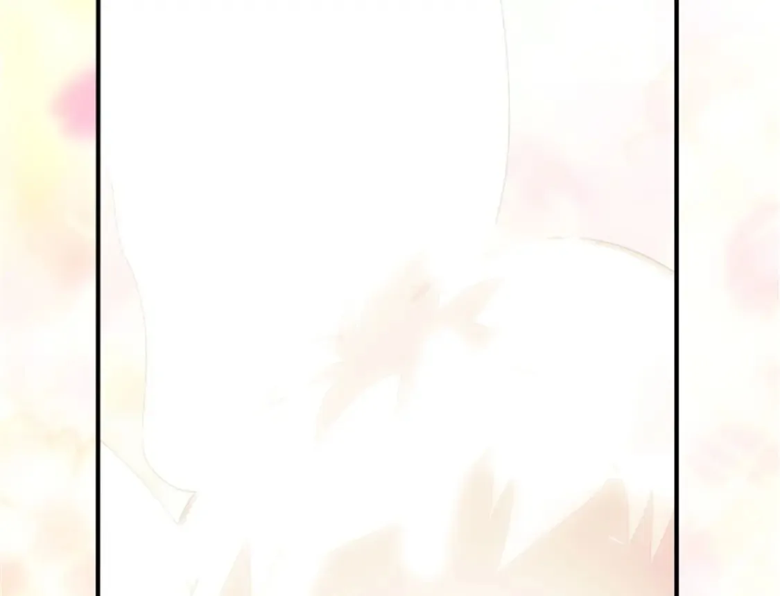 384 第60页