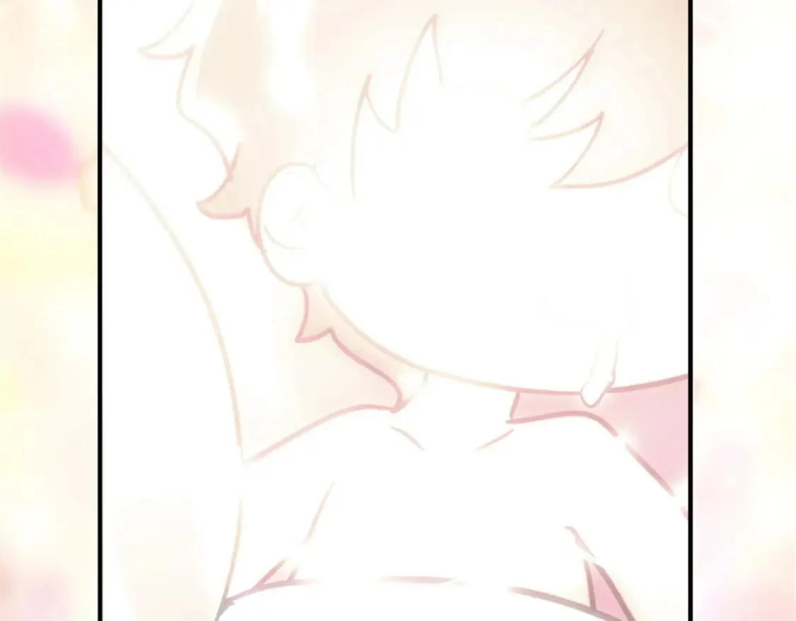 384 第61页