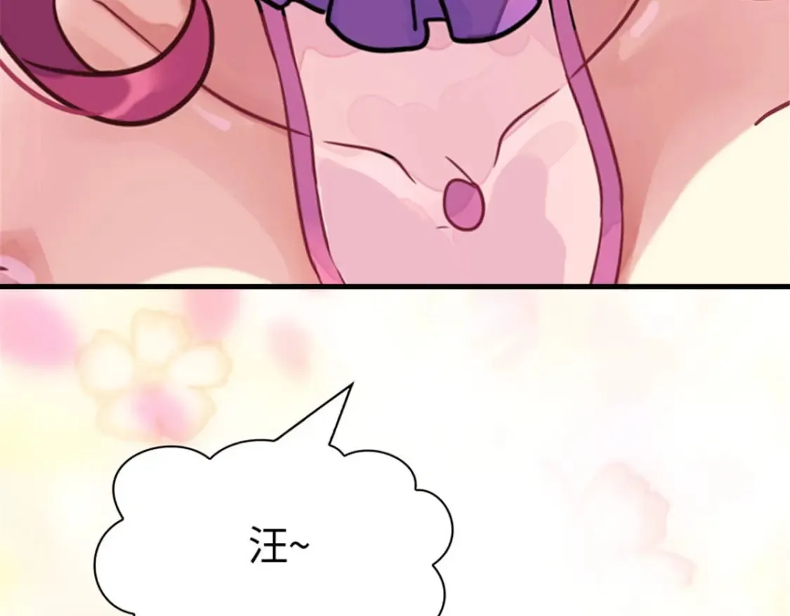 384 第85页
