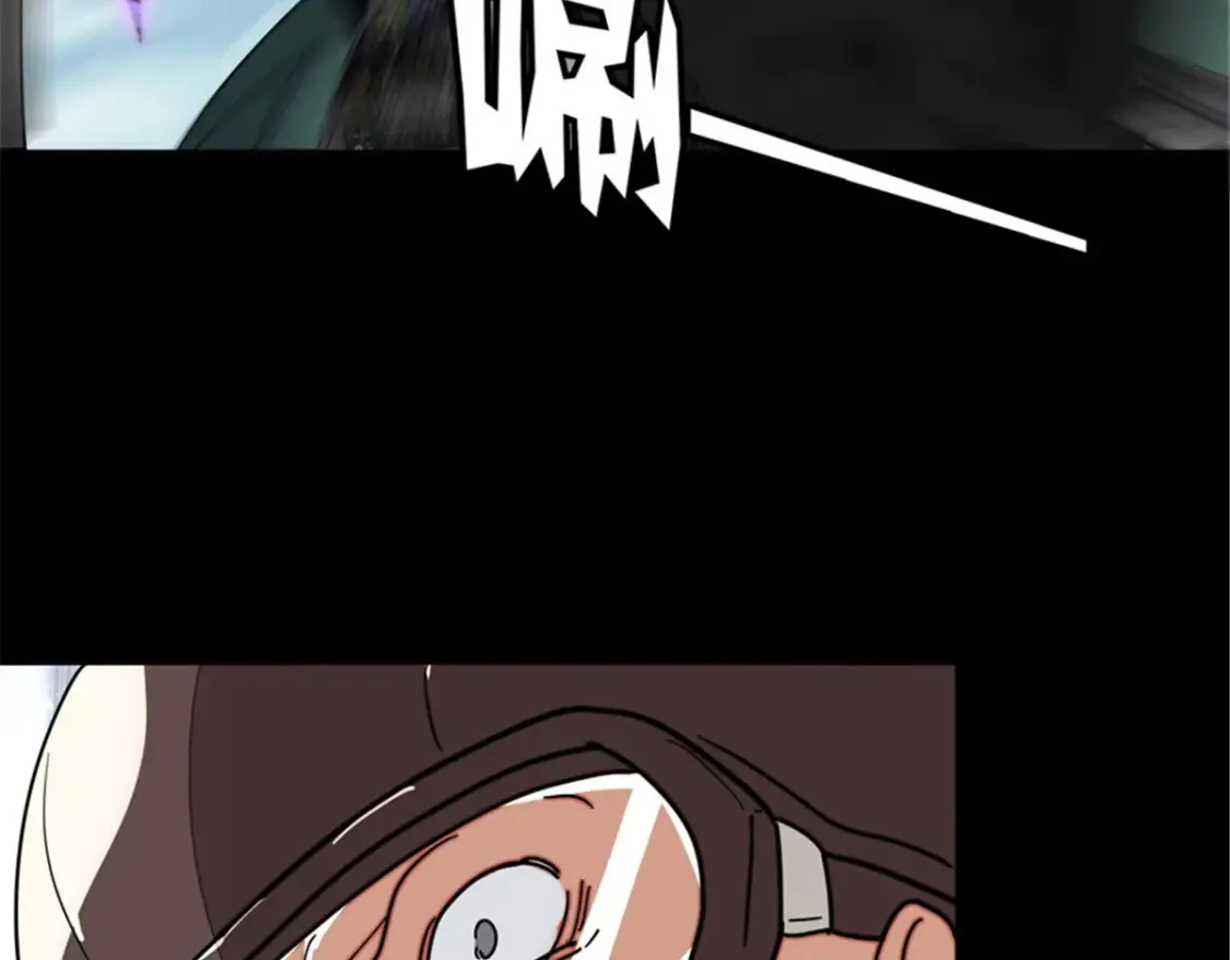 384 第110页