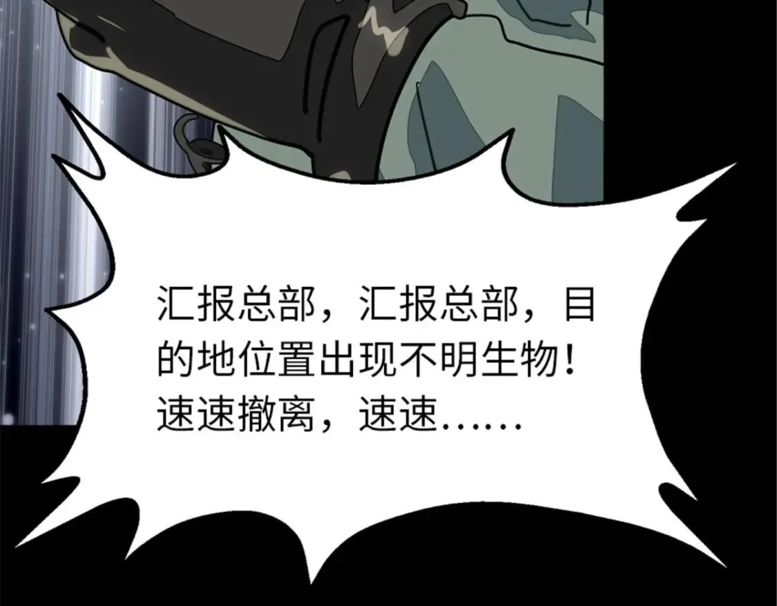 384 第113页