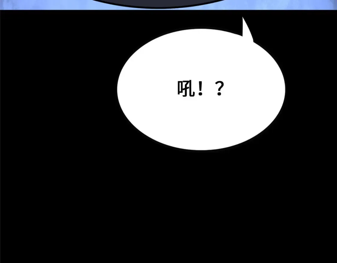 382 第115页
