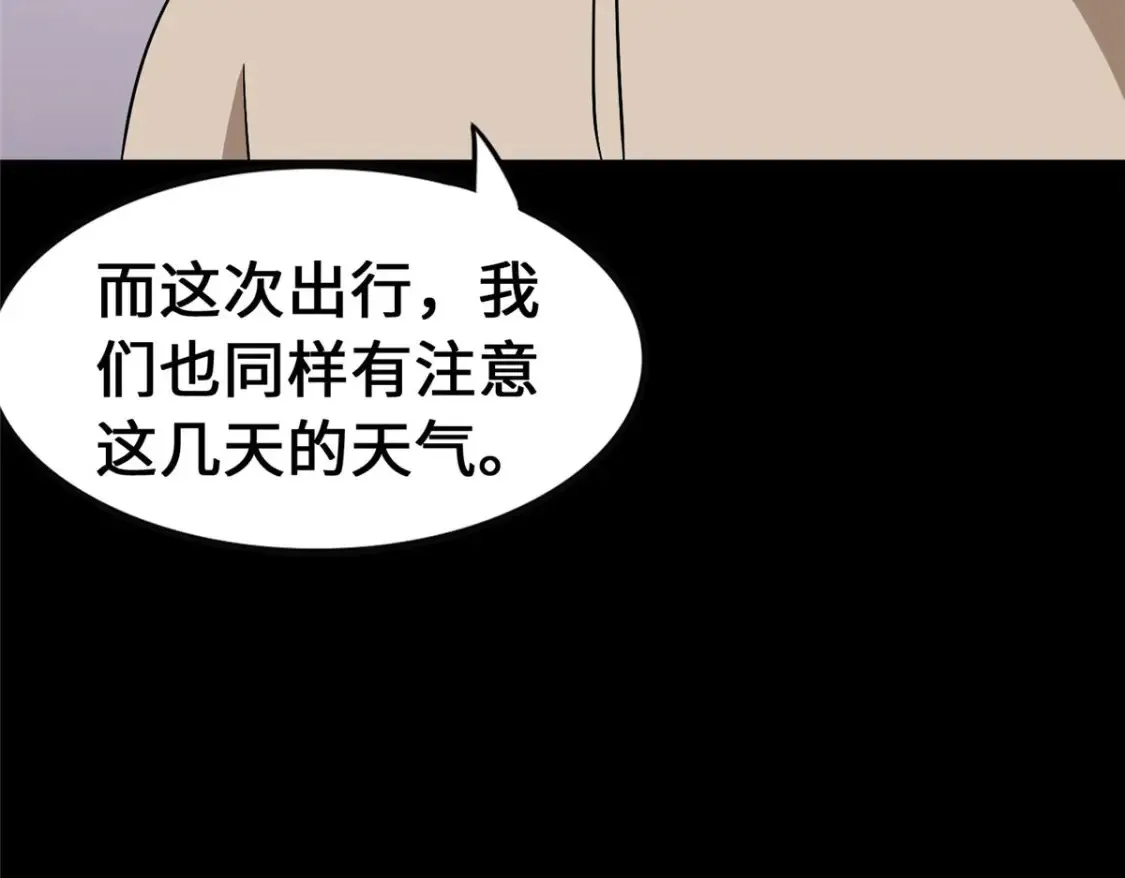 381 第119页