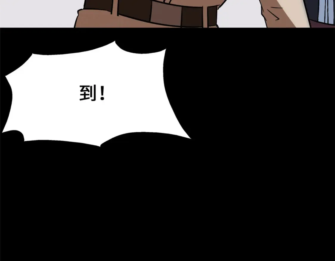 381 第146页