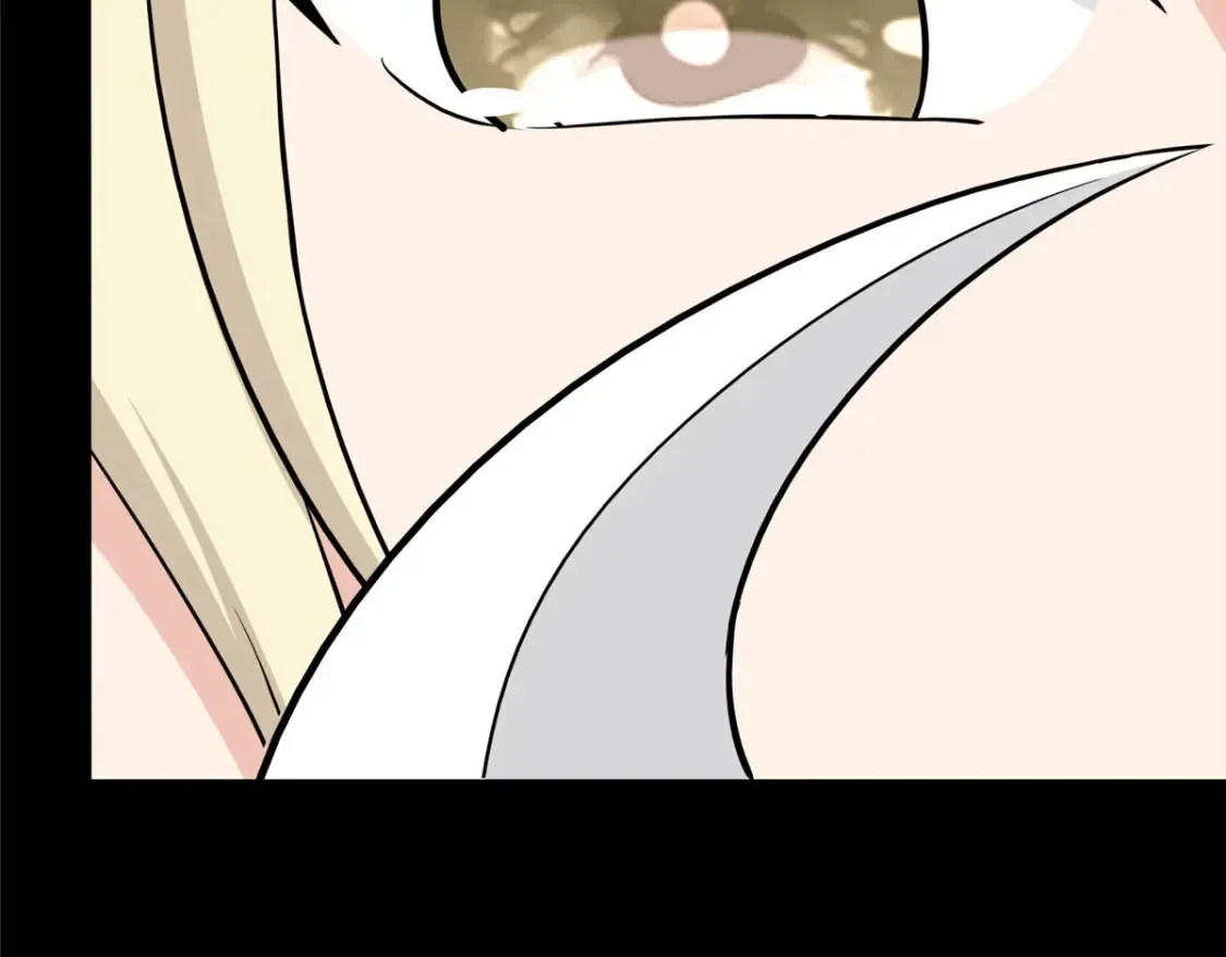 380 第116页